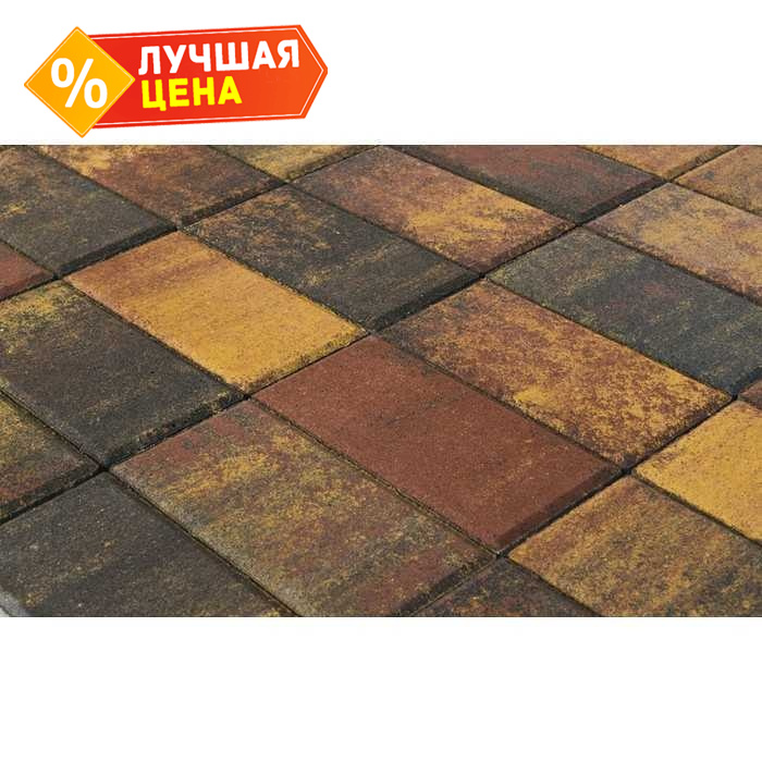 Плитка тротуарная BRAER Прямоугольник Color Mix Мальва, 200x100x40 мм