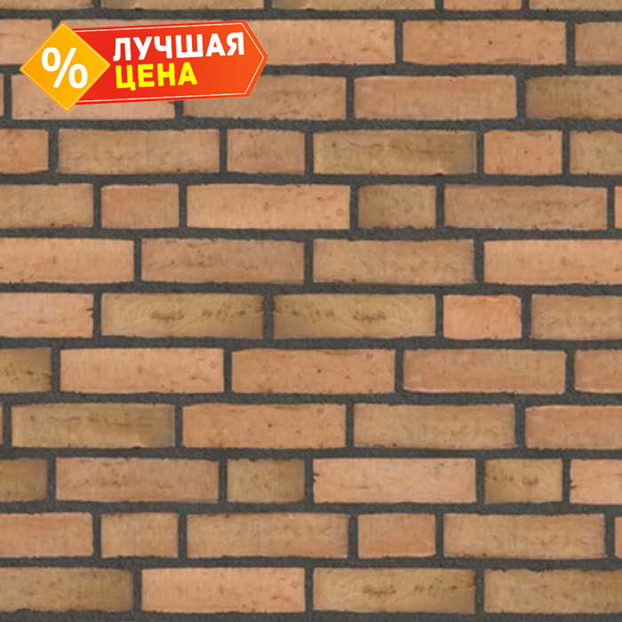 Кирпич облицовочный Randers Tegl Classica RT433, 250х120х65 мм