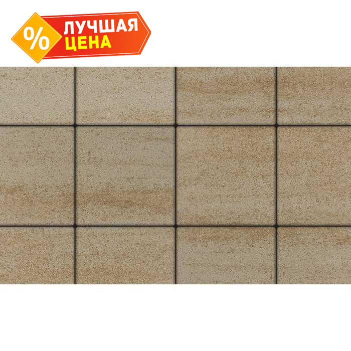 Плитка тротуарная Квадрум Б.6.К.6 Искусственный камень Степняк 400x400x60 мм