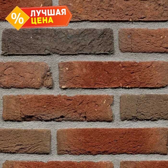 Кирпич облицовочный Terca Nedsted 210х100х50 мм