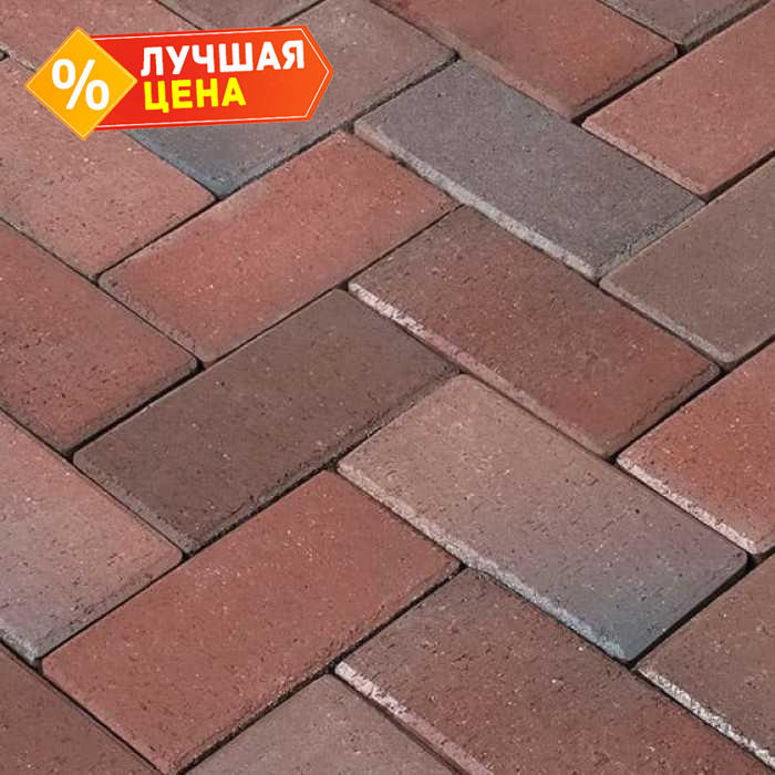 Клинкерная брусчатка Penter Rotblaubunt с фаской, 200x100x45 мм