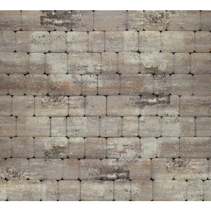  - фото 4